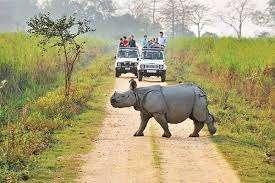 KAZIRANGA TOUR PACKAGE