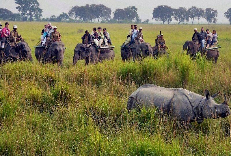 Kaziranga Tour Package Price with Elephant Safari