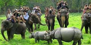 KAZIRANGA TOUR FROM GUWAHATI