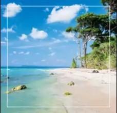 Andaman Package Tour from Kolkata for a Peaceful Island Escape
