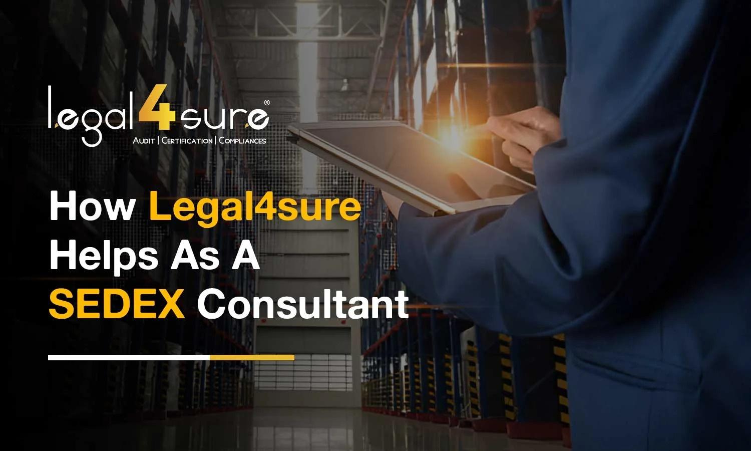 Sedex Audit Report Template  Professional Sedex Audit Support