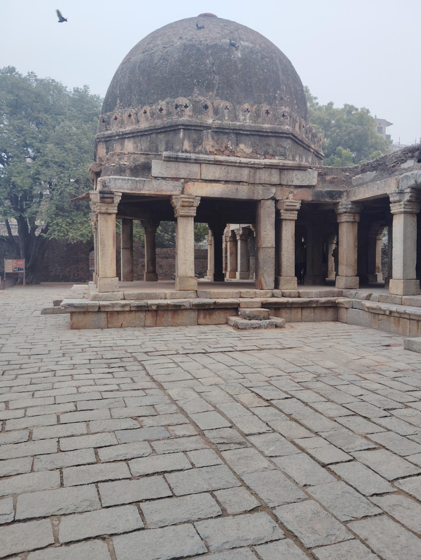 Night enjoy keliye boys chahiye9310803498