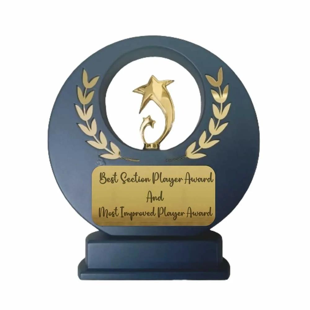 Gold Star Achievement Award