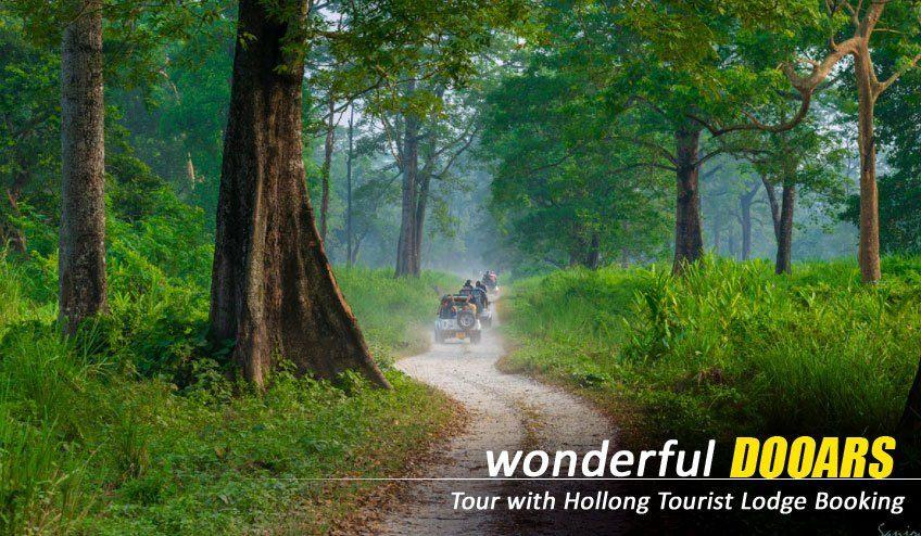 Dooars Tour with Jaldapara Elephant Safari : Walk into Heart of the Wilderness