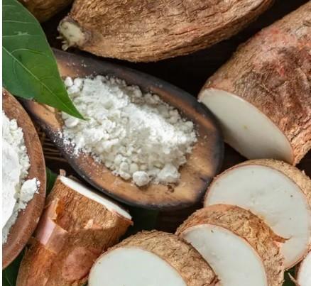 Premium Grade Tapioca Starch Manufacturers Santosh Starch Product Limited