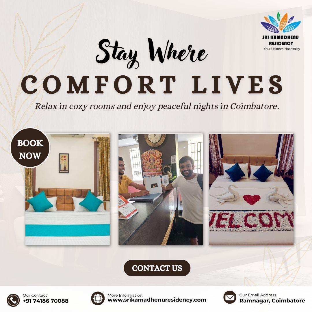 Stay Where Comfort Lives