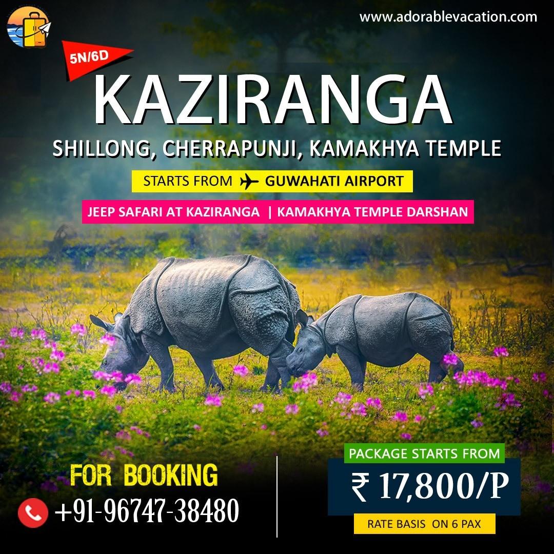 Kaziranga Shillong Cherrapunji Tour Package from Guwahati