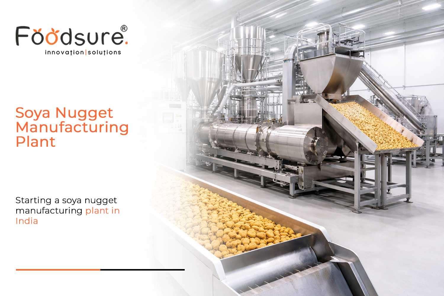 How to Start a Soya Nugget Manufacturing Plant (Step-by-Step)