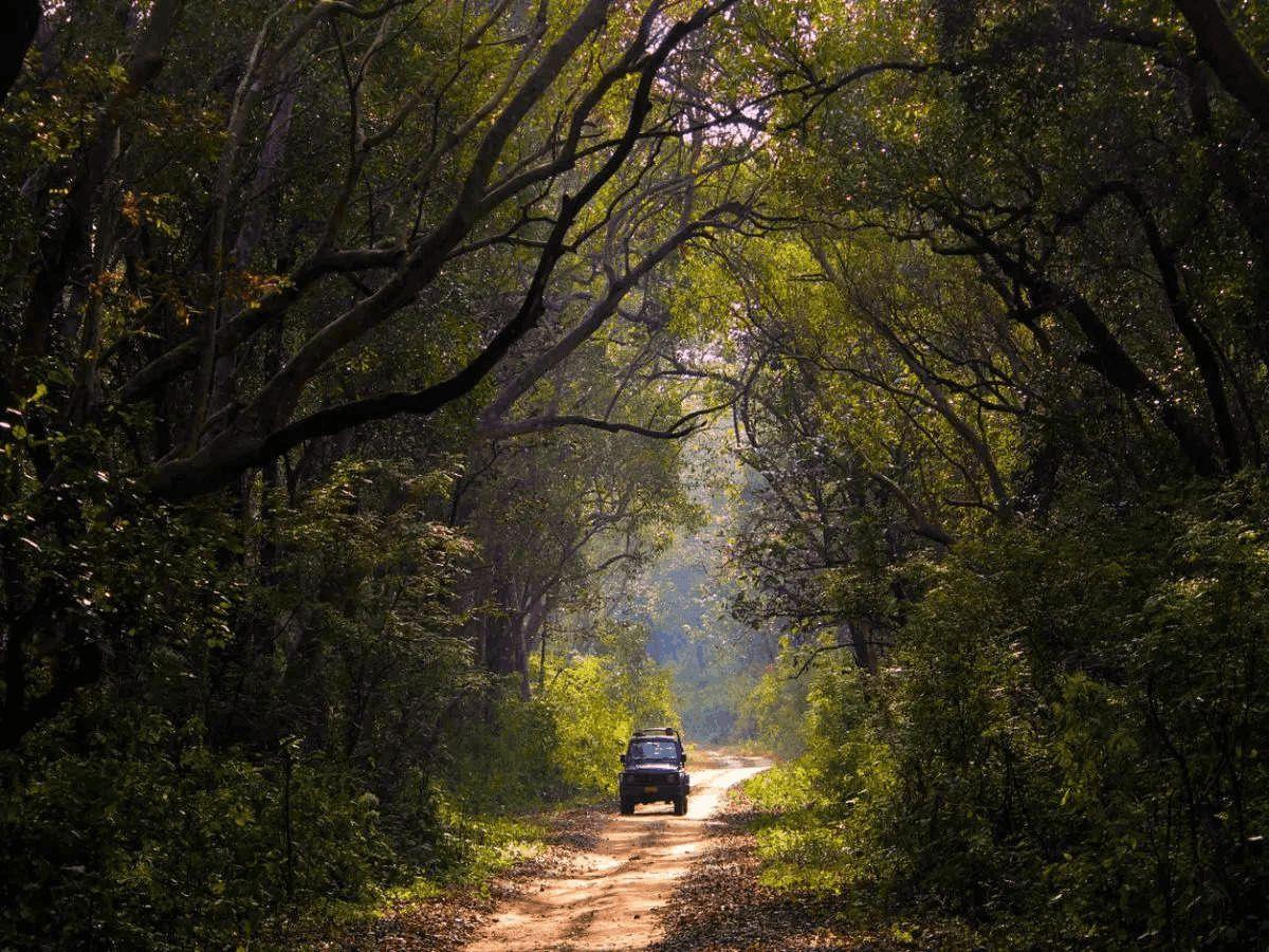 Mussoorie and Corbett Tour Packages