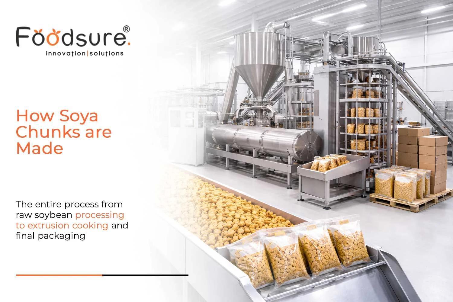 How Soya Chunks Are Made  The Complete Factory Process