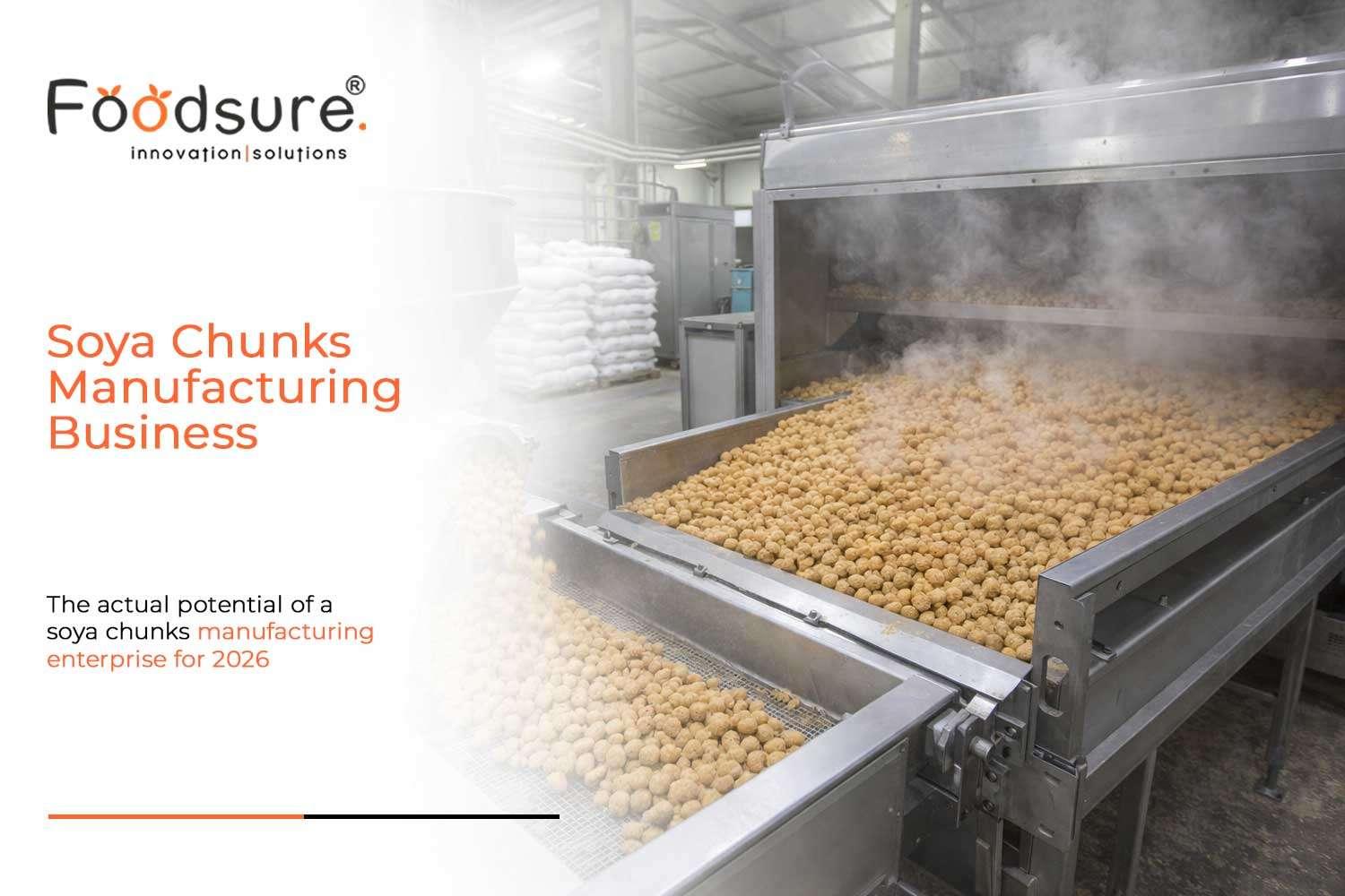 Cost & ROI of Soya Chunks Manufacturing Business