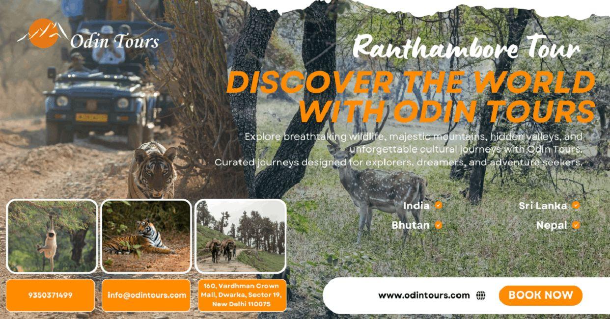 Rajasthan Holiday Packages - Rajasthan journey