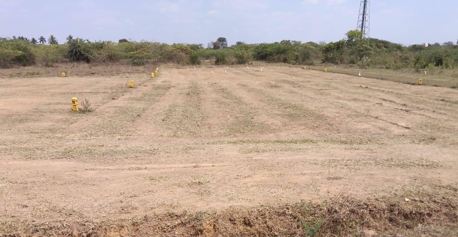 DTCP & RERA Approved plot for  sale in Mosur.