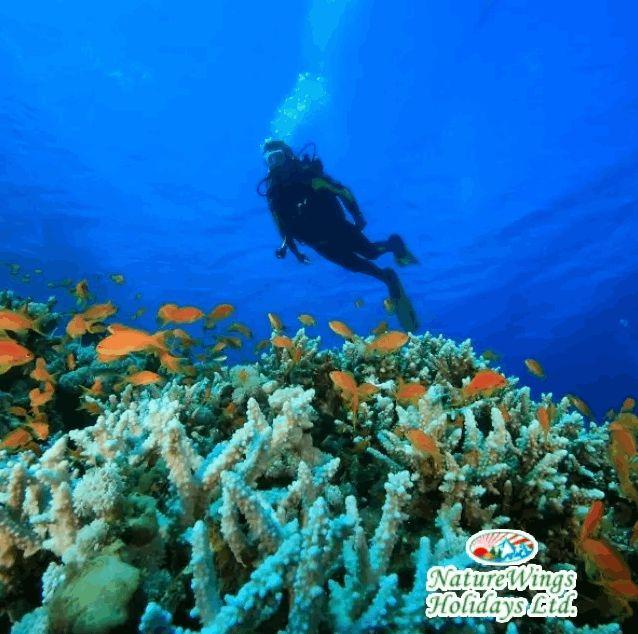 Experience Nature, Adventure, and History with Andaman Tour Package from Kolkata