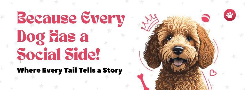 Looking for expert support with socialising dogs?