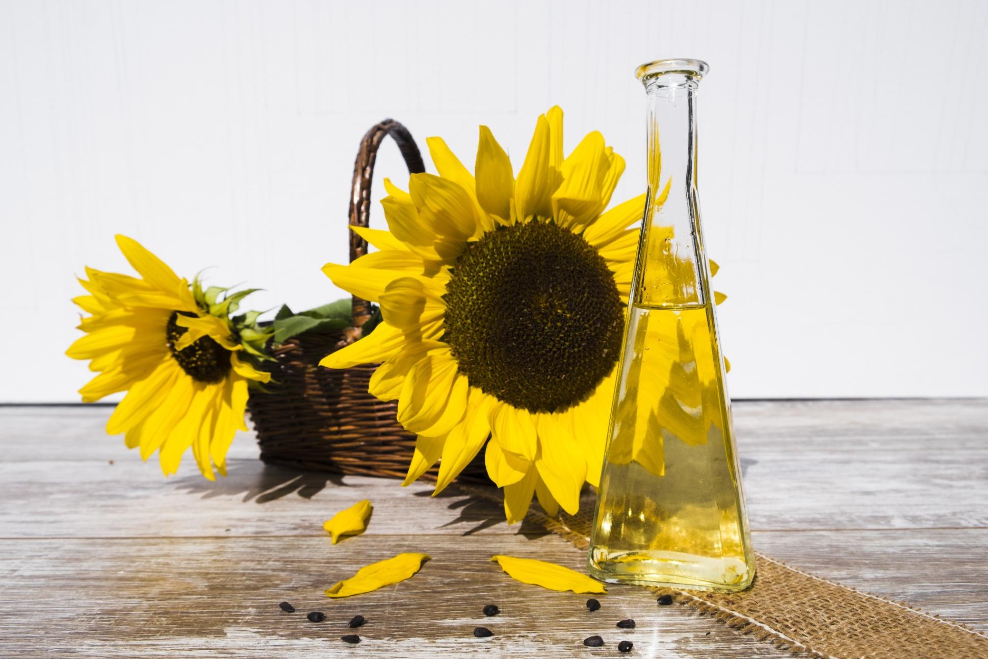 Best Organic Oil, Grocery, Spices Sellers in Bangalore
