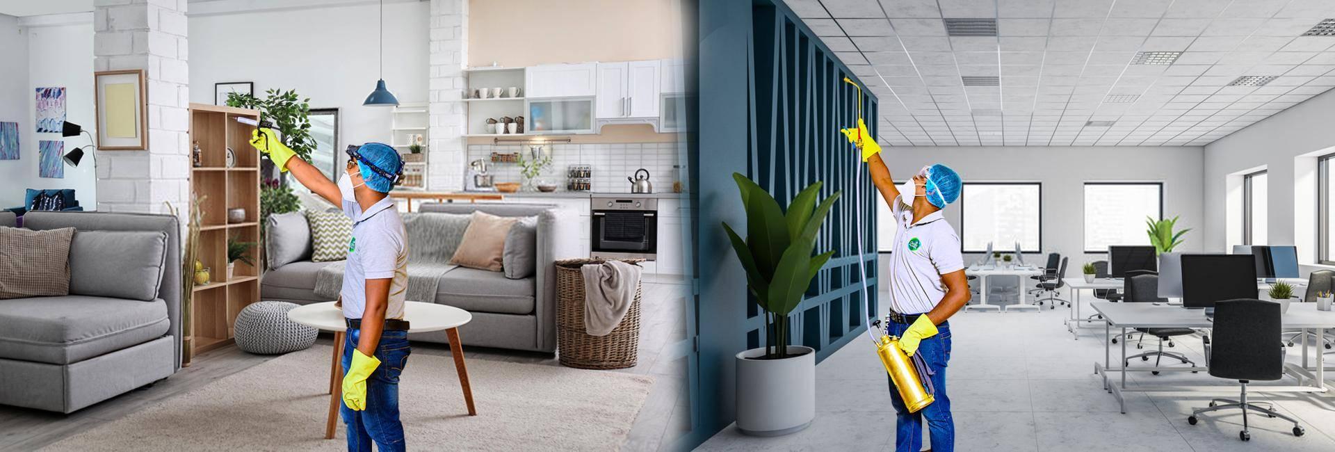 Best Termite Control In Chennai