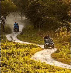 Best Time to Book a Dooars Tour Package from Siliguri