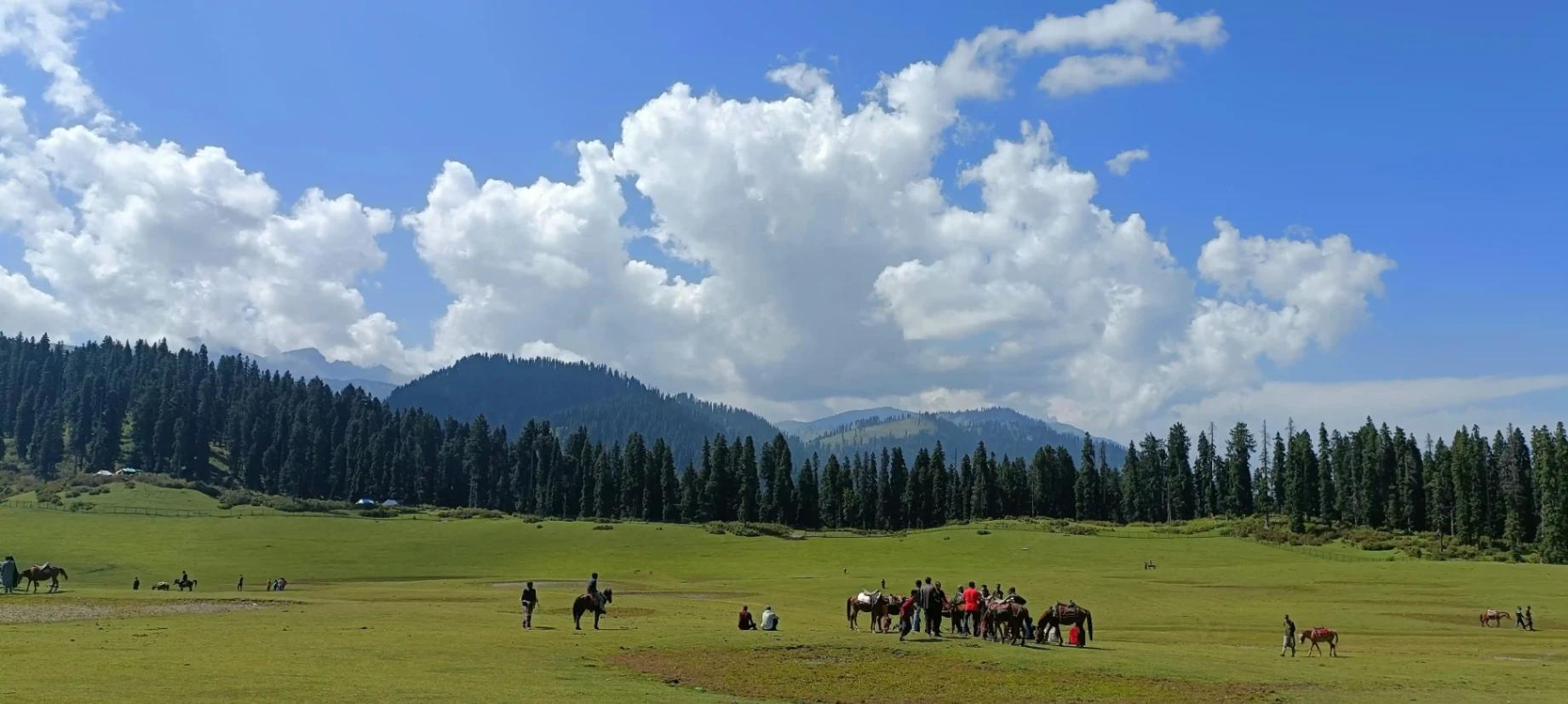 Best Kashmir Tour Packages holiday planner Travel Nerve Kashmir