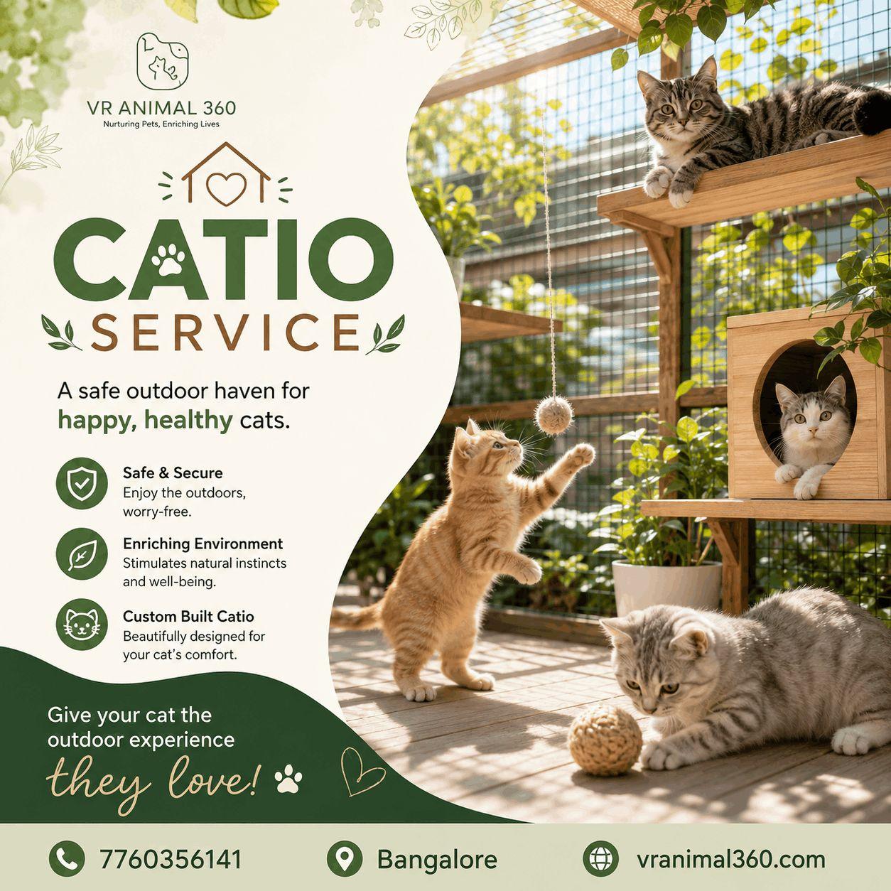 Give Your Cat a Better Space with a Custom Cat Catio