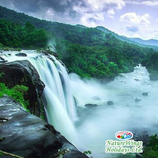 Kerala Tour Packages for Exploring Munnar, Thekkady and Alleppey