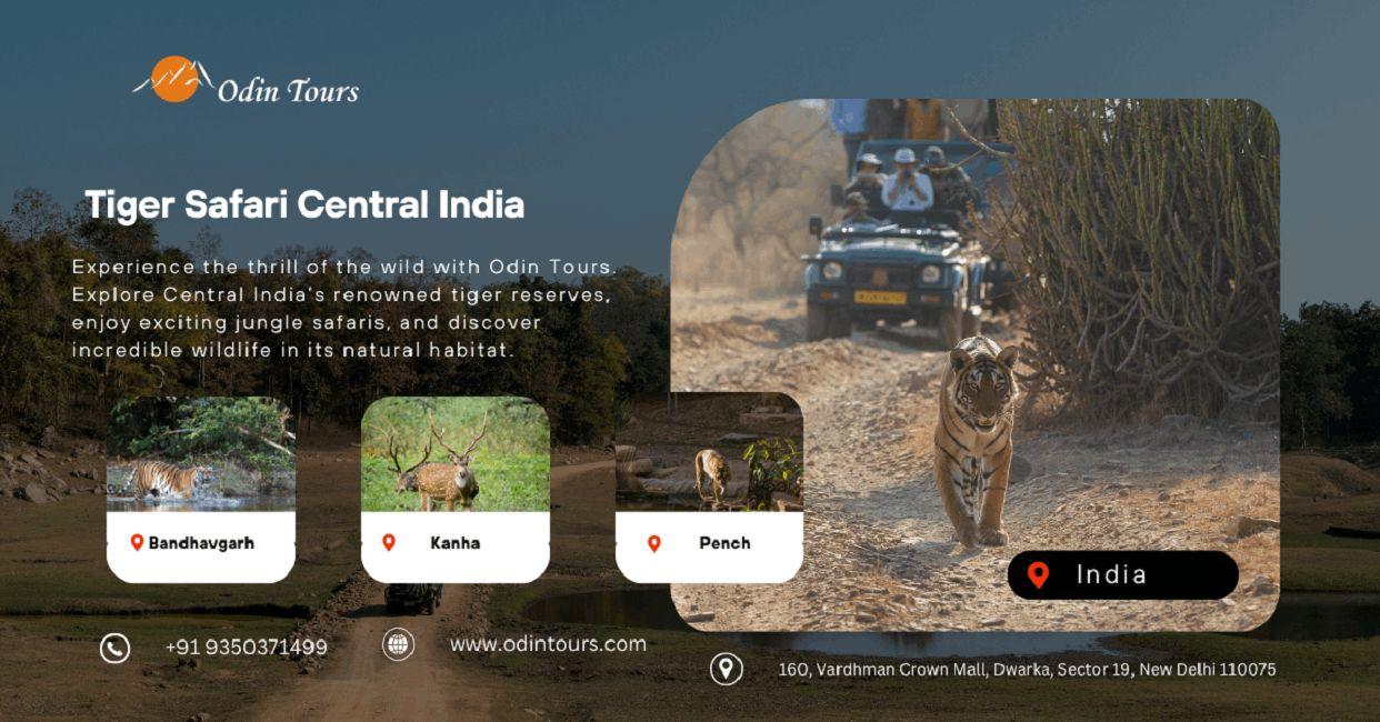 Customized India Tour from USA