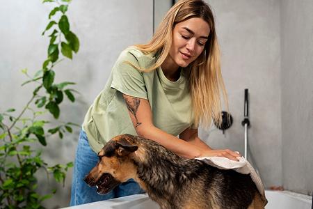 Find Trusted Animal Habitat Experts in Bangalore