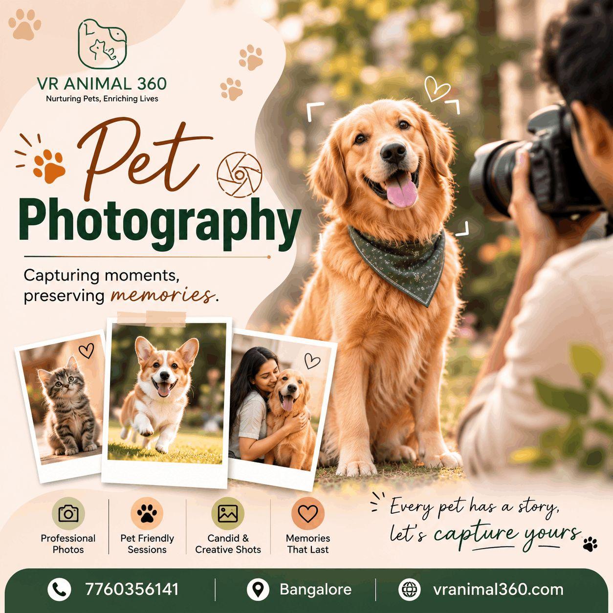 pet photography in bangaluru