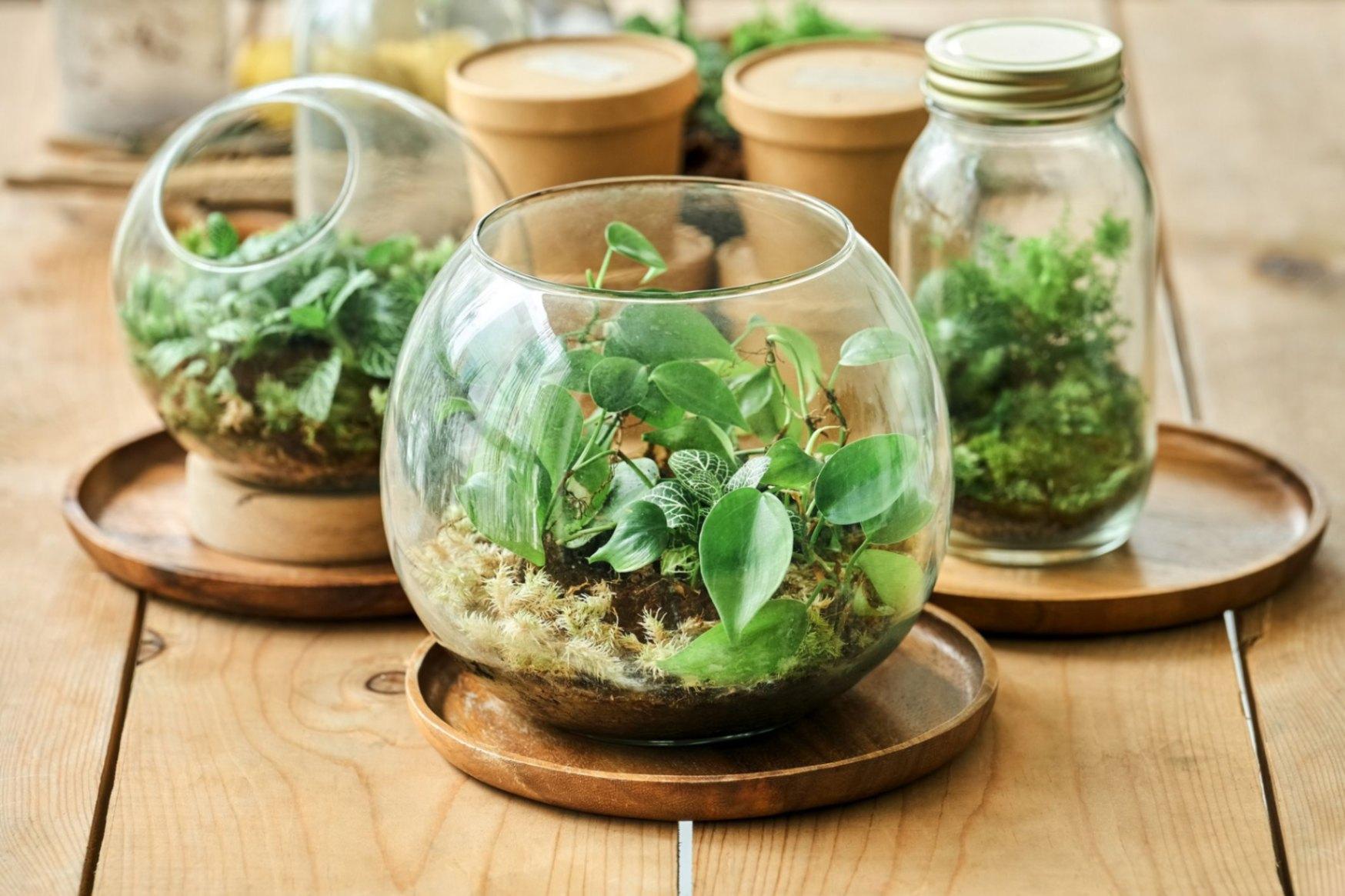 Transform Your Space with Professional Aquascaping