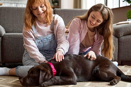 Pet Boarding in Bangalore Find Trusted Pet Care