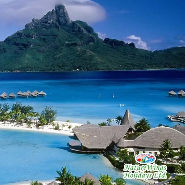 Andaman Tour Package from Kolkata for a Memorable Island Holiday