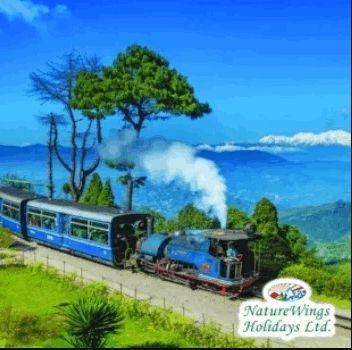 Darjeeling Gangtok Package Tour from NJP for a Relaxing Mountain Escape