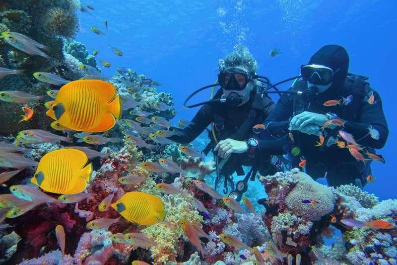 Tropical Treasures of Andaman - Budget (6 Days / 5 Nights)