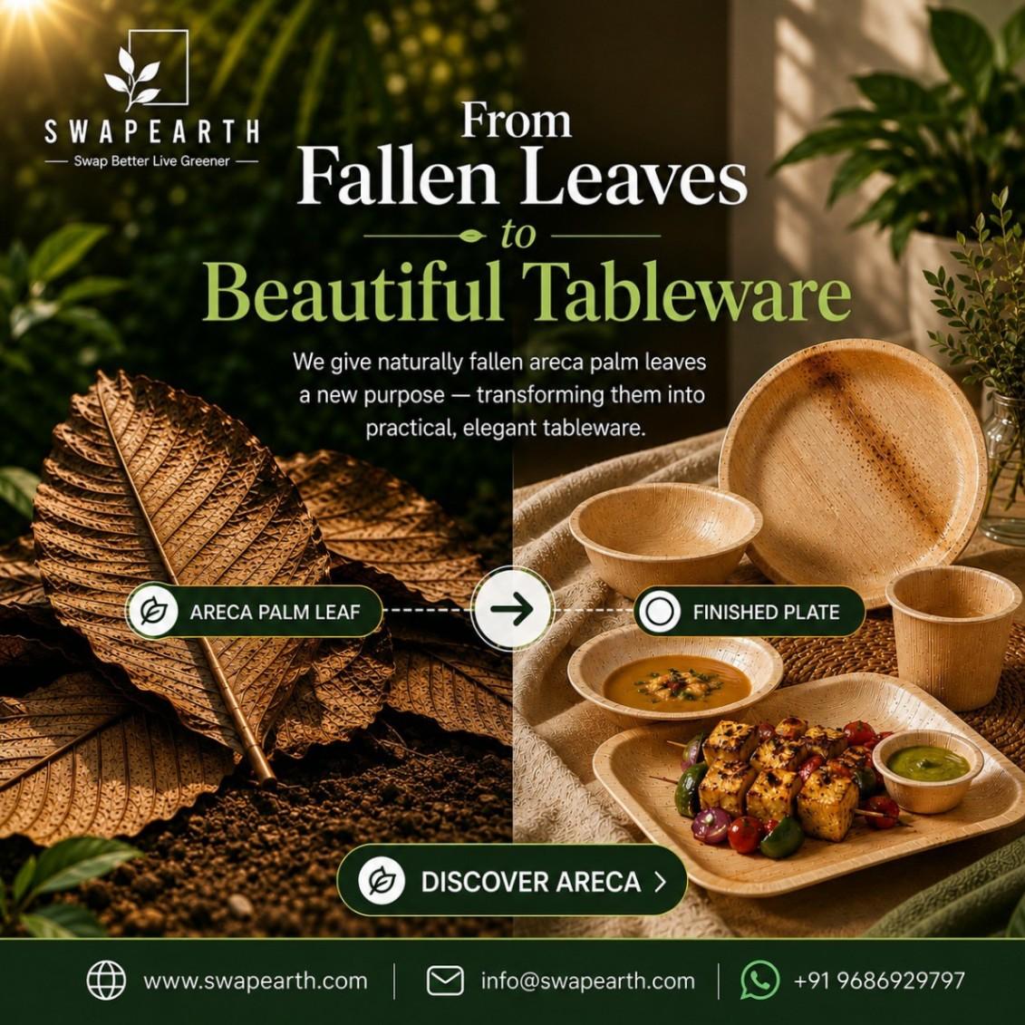 Discover Eco-Friendly Areca Leaf Tableware for Modern Food Businesses