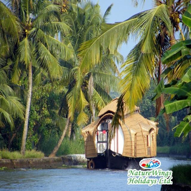Kerala Package Tour for a Memorable Holiday Experience