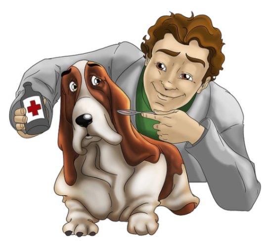 Veterinary Services; Exp: 2 year