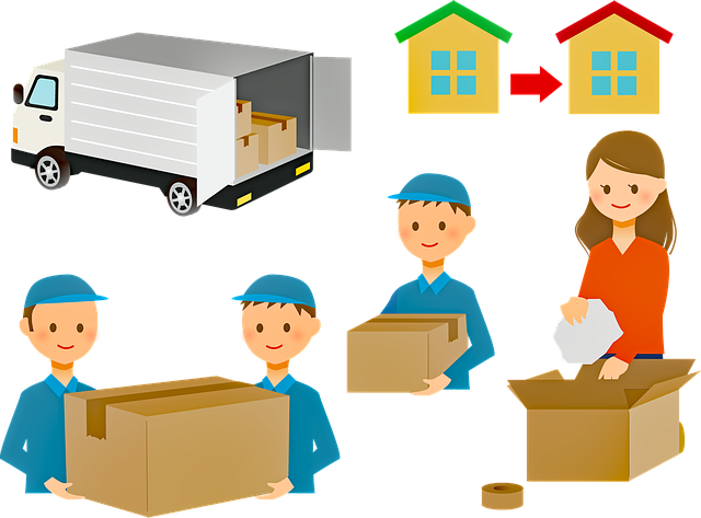 Movers/ Packers