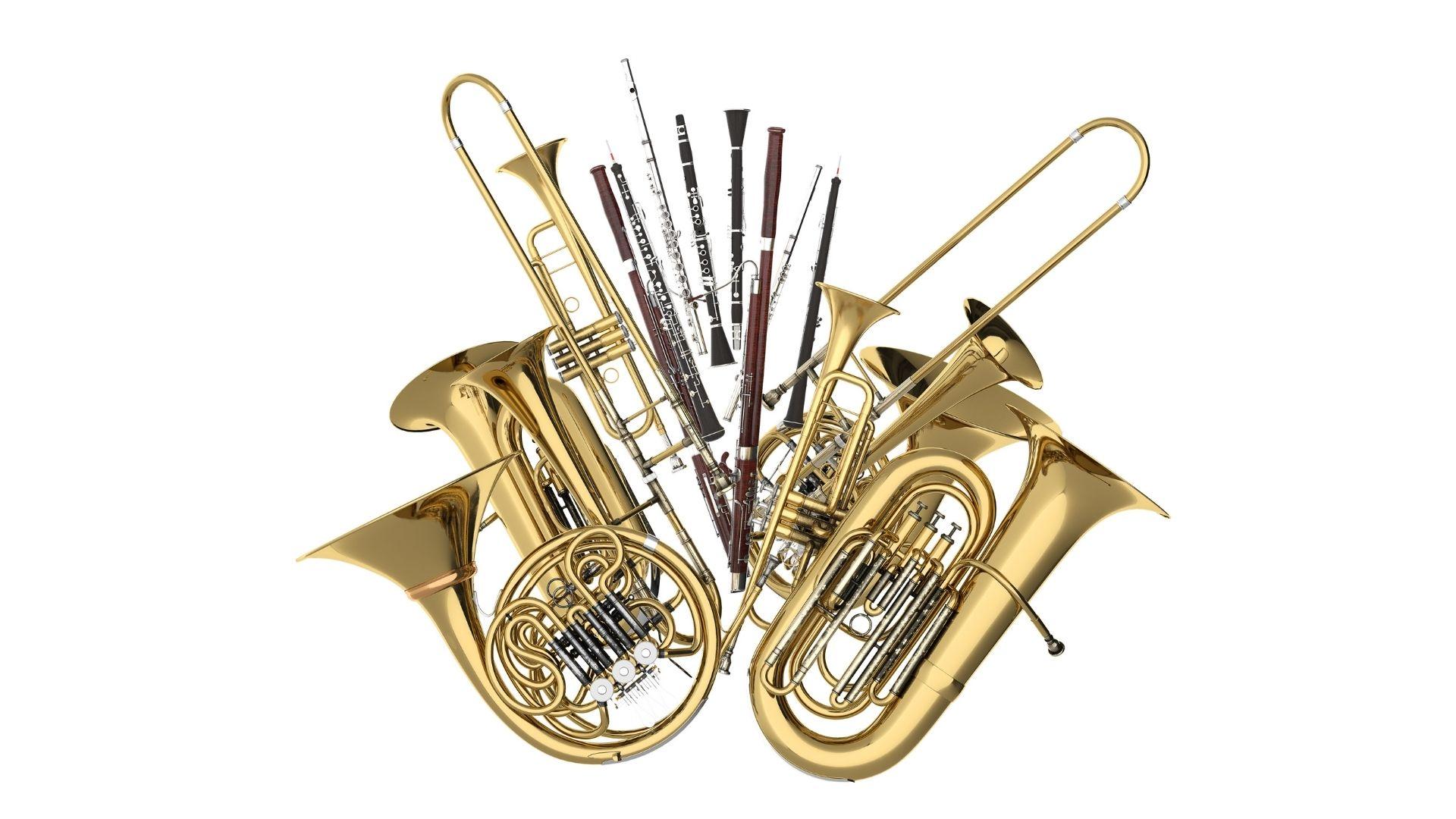 Accordion, Amplifiers, Clarinets, DJ Equipment, Dholak on sale