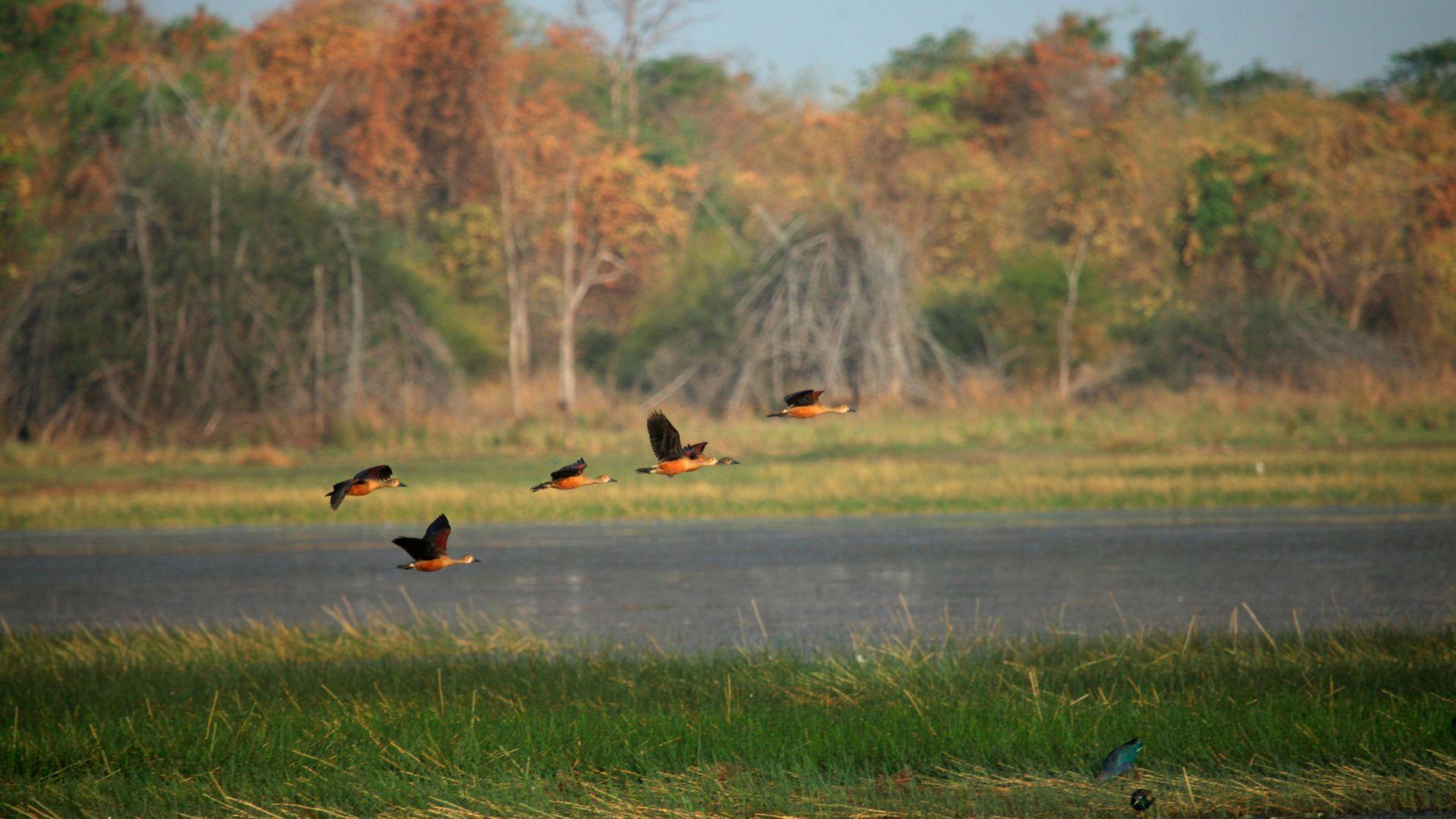 Chandigarh History, Places to Visit and Education