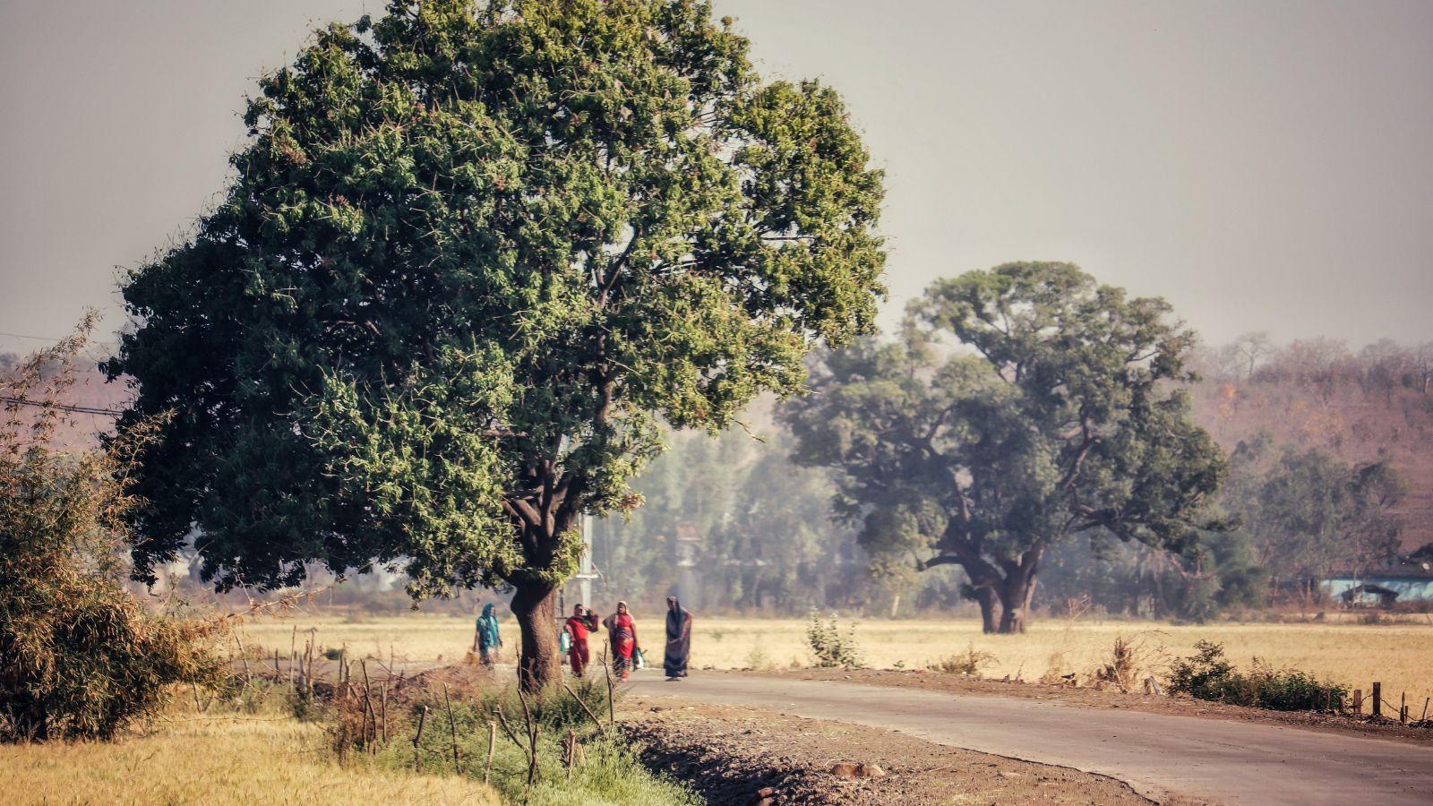 Ambala Pin Codes, History, Place to Visit, Shopping and Food