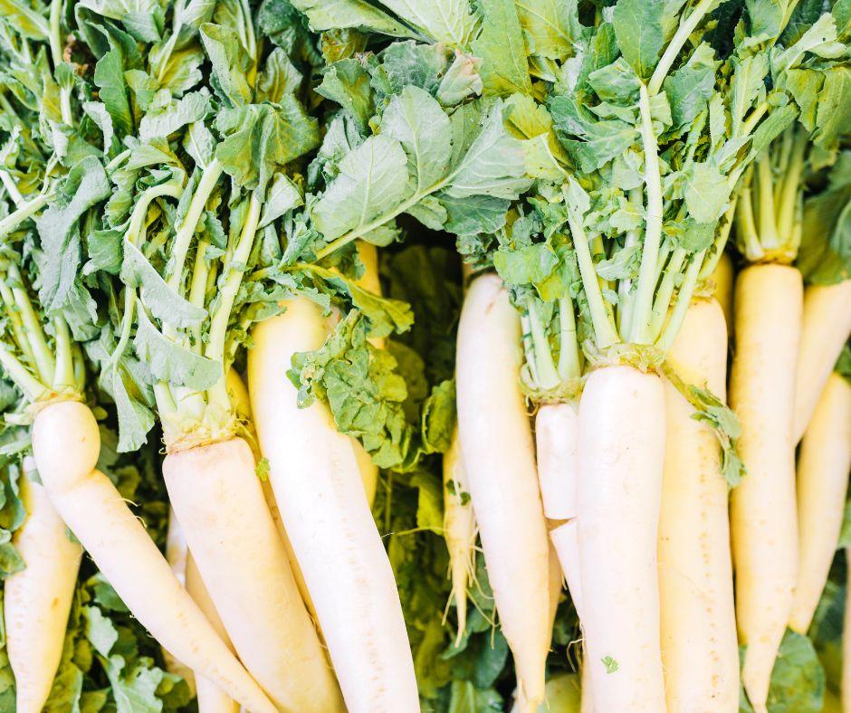 Beets, Bhindi, Cabbage (Patta Gobi), Capsicum (Shimla Mirch), Carrots (Gajar) on sale