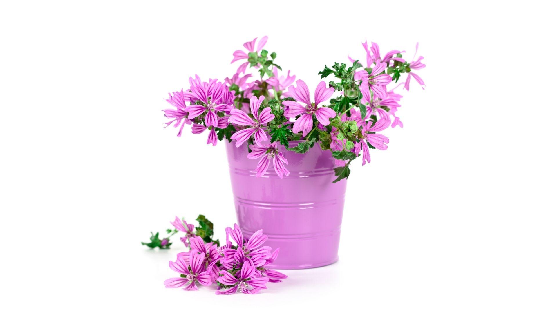 Personalized Gifts, Photo Frames and Albums, Greeting Cards on sale