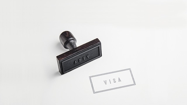 All types of visa assistance