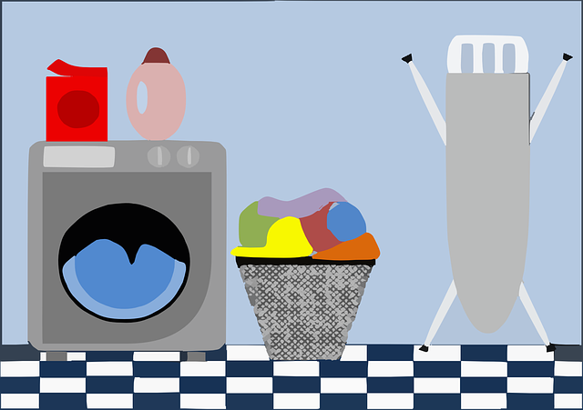 Laundry services; Exp: More than 10 year