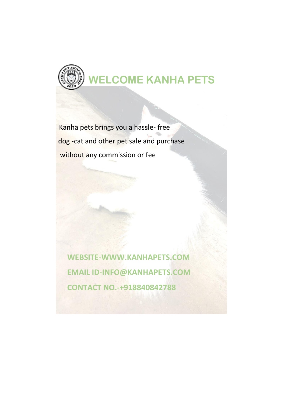 Pet care; Exp: More than 5 year
