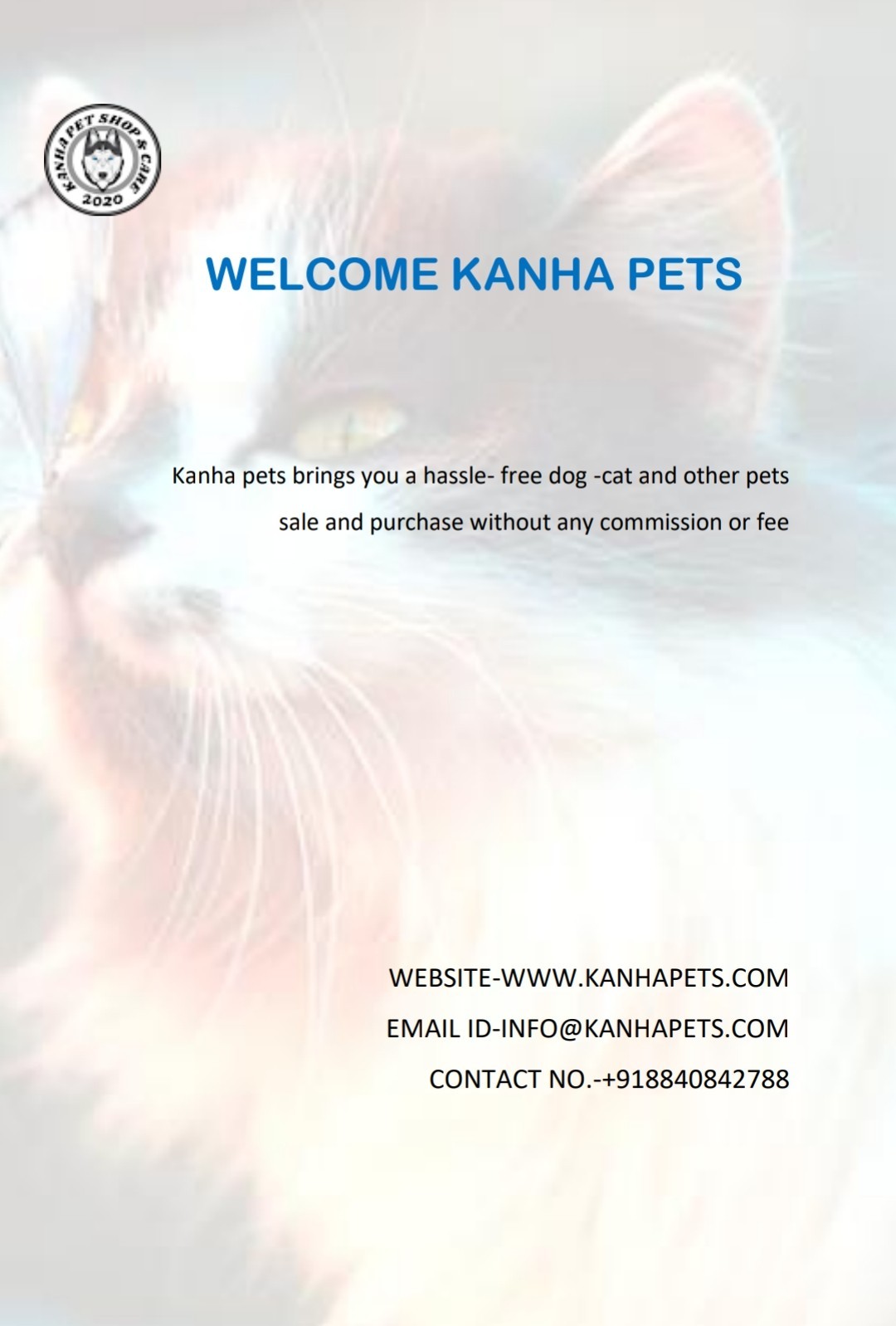 Pet care; Exp: More than 10 year