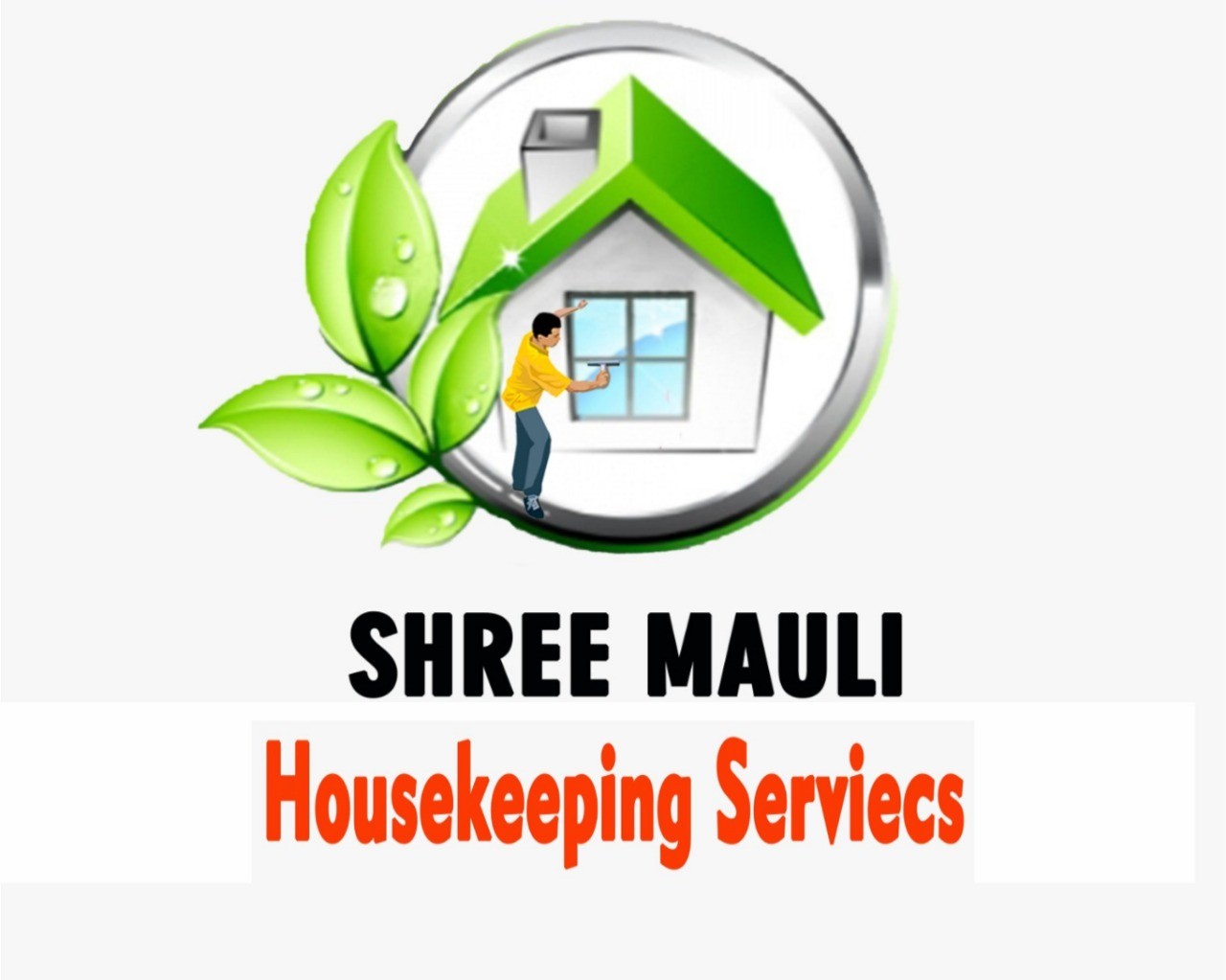 Other domestic services; Exp: More than 5 year