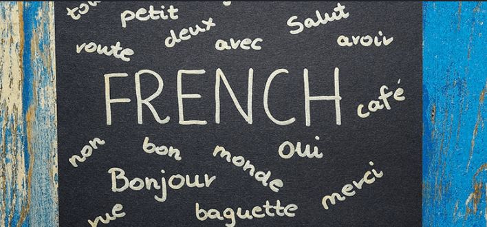 French, Language classes; Exp: More than 5 year