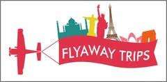 Flight Tickets, International Tour; Exp: More than 5 year
