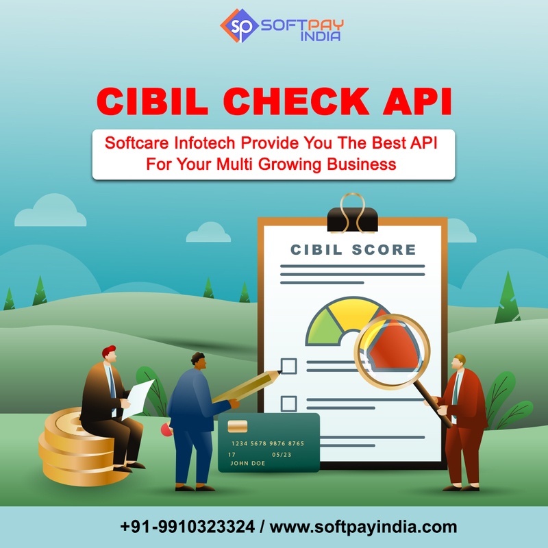 Get Cibil Score Check API at affordable Price   Get Cibil score check api with api expert compan...
